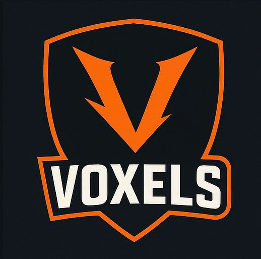 Logo voxels